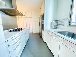 Cairnhill Crest (D9), Condominium #555068201